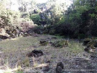 otta Catanese-04-10-2015 18-04-06